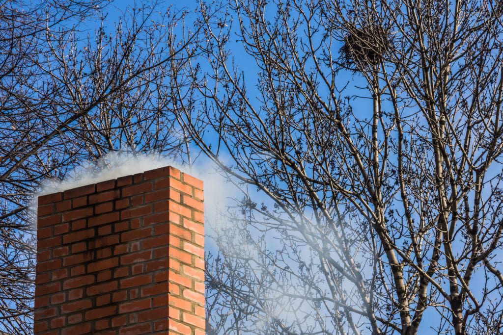 Birds in Chimney Atlanta Marietta GA Chimney Sweep
